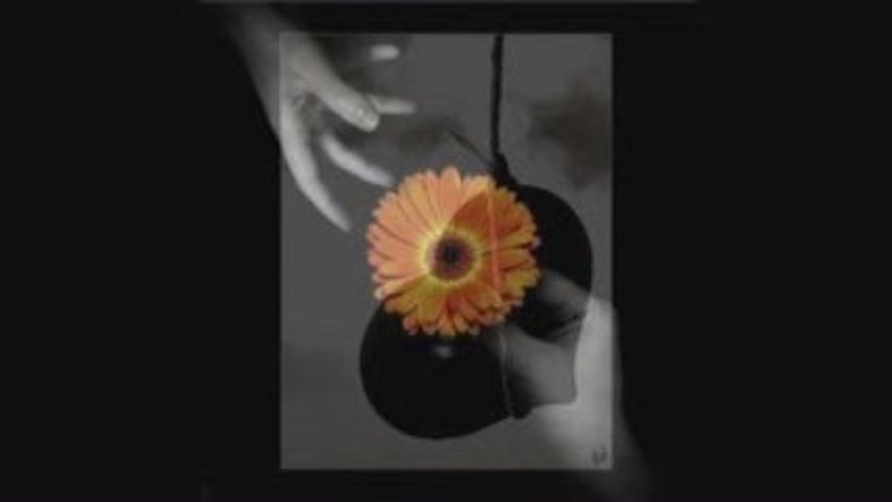 FUNDA ARAR 'yak gel'