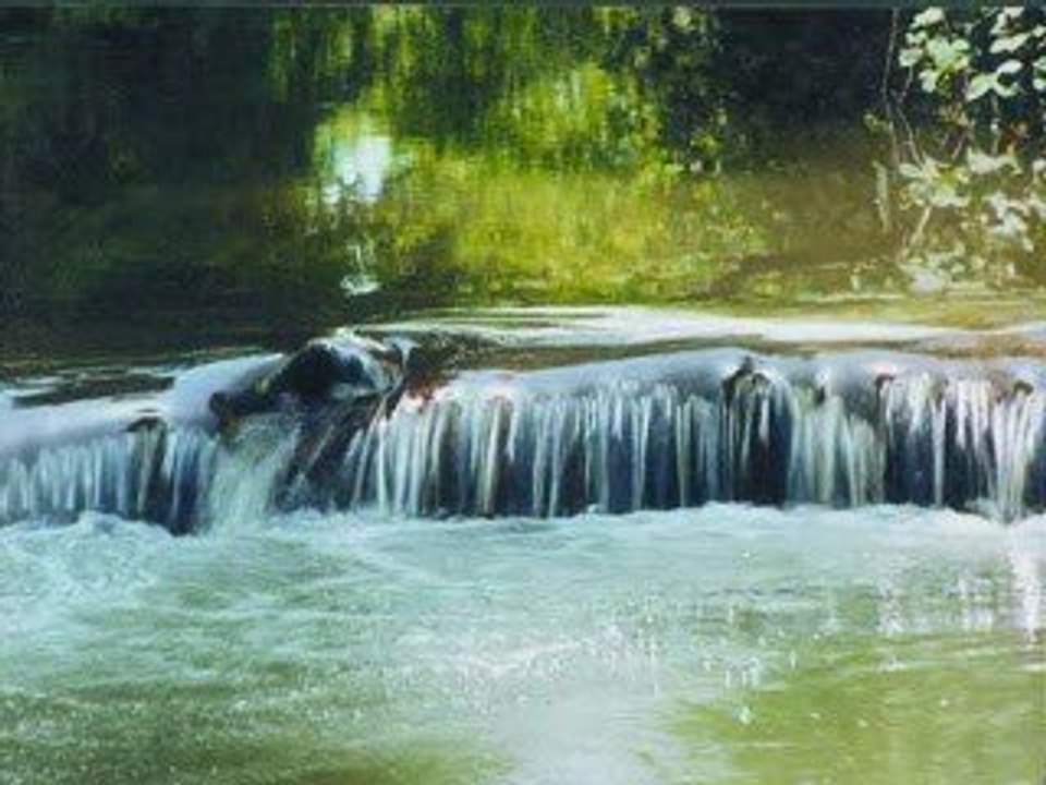 Ordunun Dereleri Fon Müziği