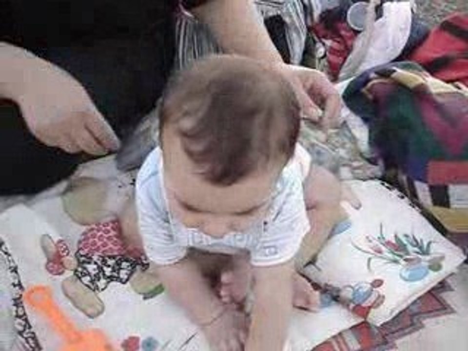 Si hachih junior