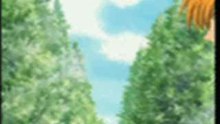 fruits basket: kyo et tohru
