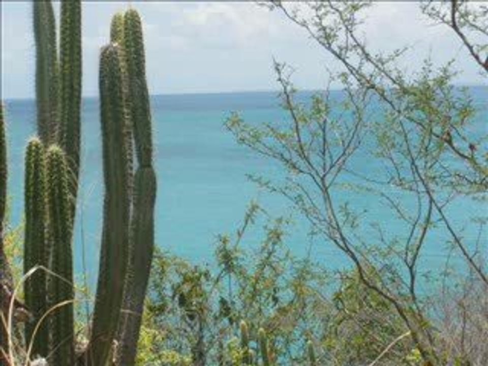 vacances d'été 2009