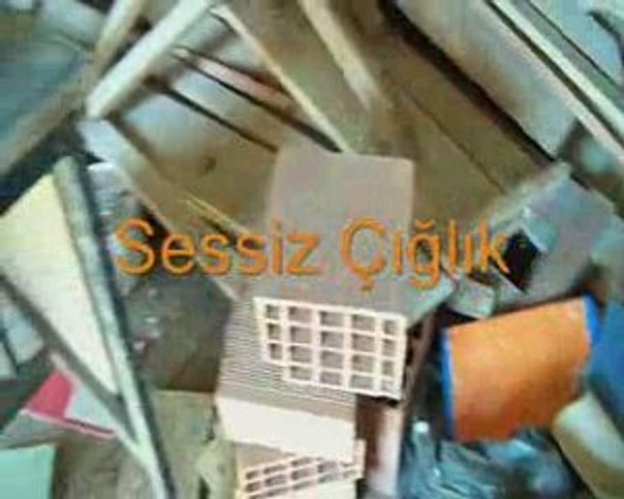 Sessiz Çığlık