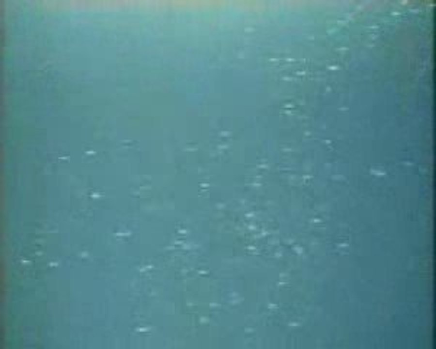 UFOs -Des centaines d'ovnis filmés (Mexico.11-04-2005)