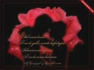 Seni Sevmekten Korkmuyorum