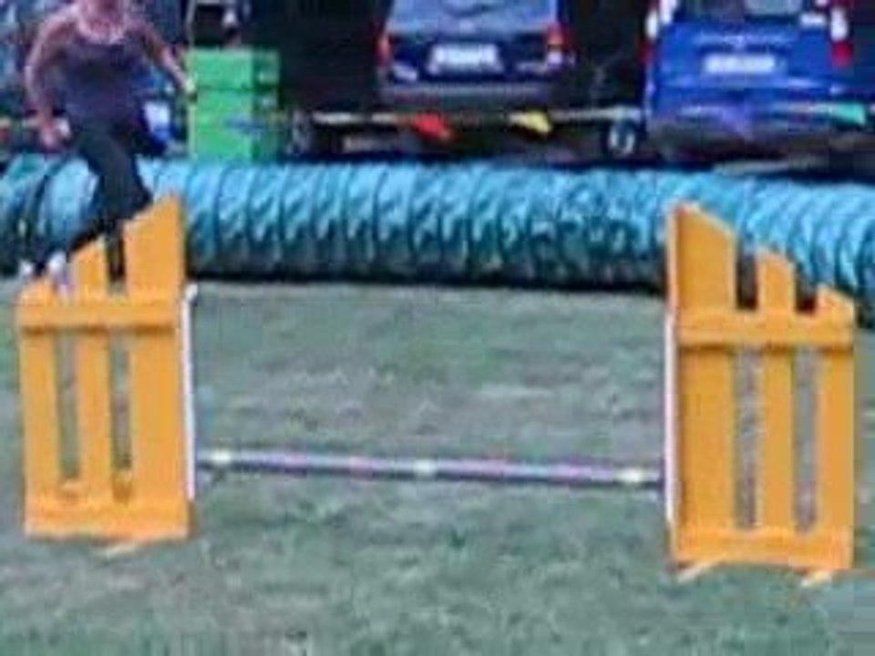 Puce - 1er concours agility