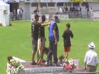 final brive 2009 049