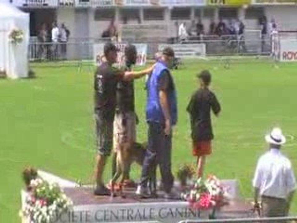 final brive 2009 049