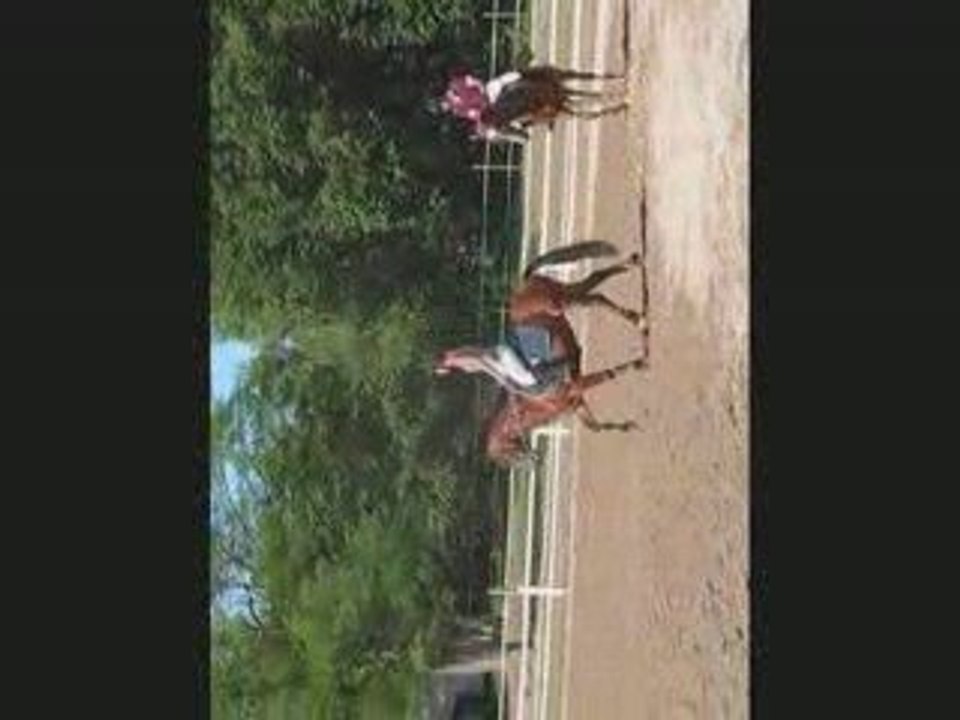 othello 1 m vaquier