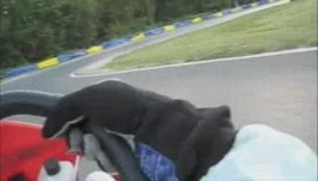 KARTING Fpia race Monza 2009 (part.1)