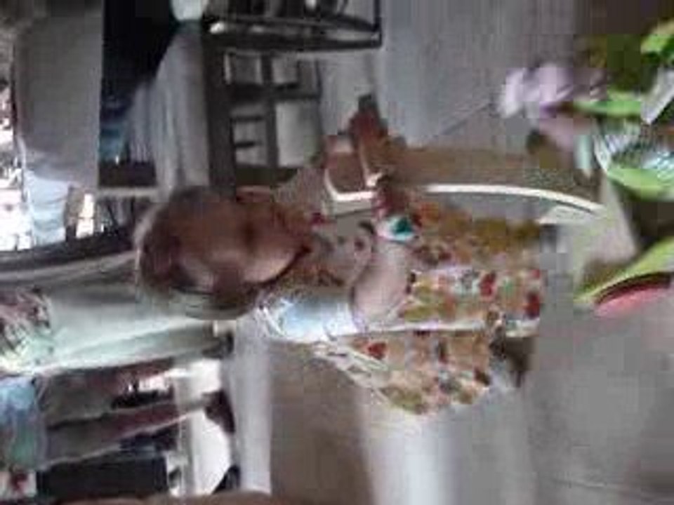 lola 11 mois et demi 078