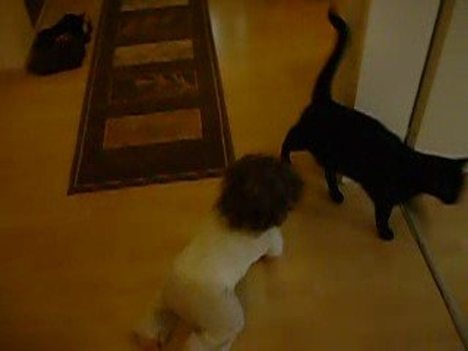 Elisa et les chats