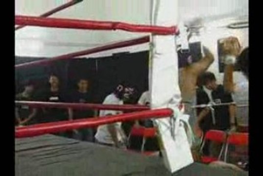 Hong Kong Wrestling Federation 11/7 music video