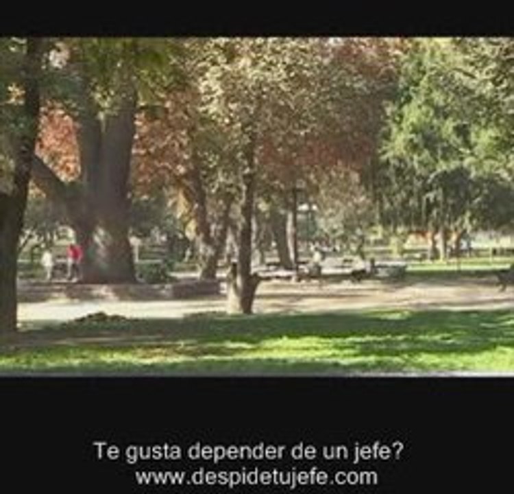 Ofertas de trabajo negocios busco anuncio de trabajo ...