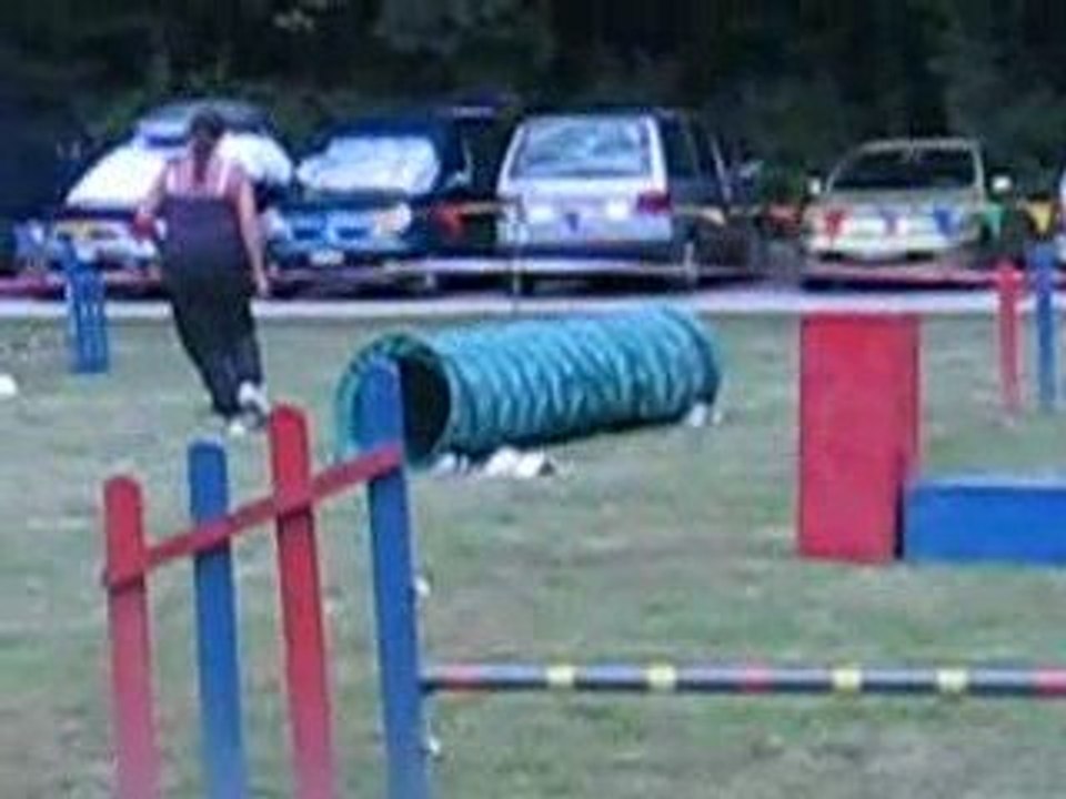 Puce - 1er concours jumping