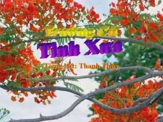 Trường Cũ Tình Xưa - Thanh Thúy