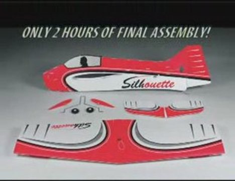 ElectriFly Silhouette 3D EP ARF