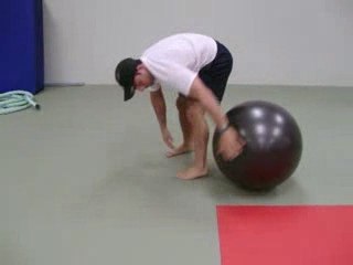 Fat Losing, Lean Tissue Building Stability Ball Workout