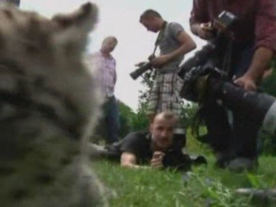Cute snow leopard makes Berlin zoo debut