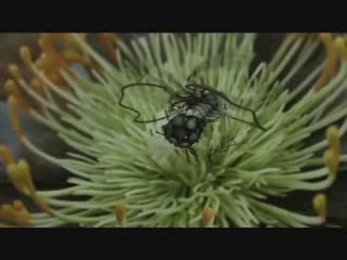 Saturn_ The Evolution of Technology