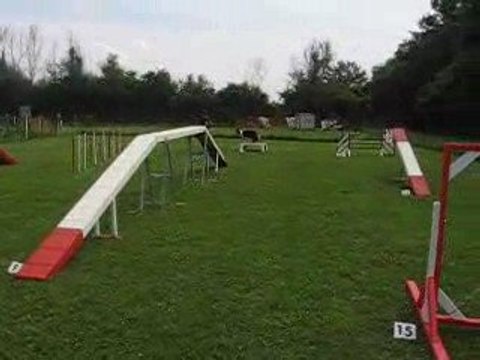 Ulk parcours agility