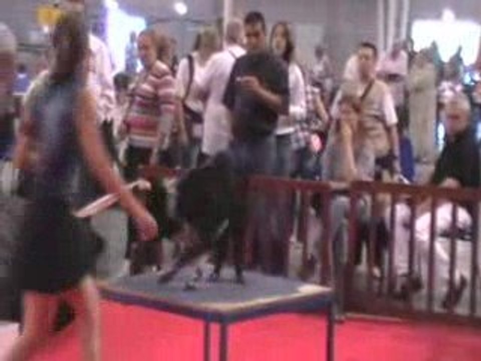 Aurélie et Tess, GPF de Douai