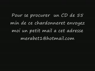 CD chant de chardonneret de france