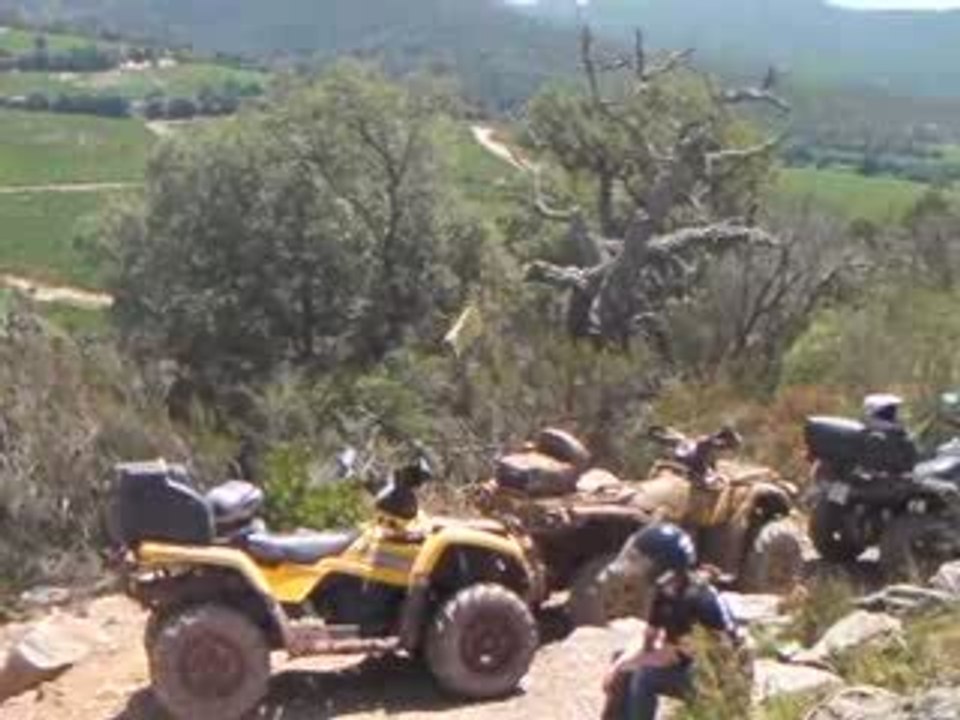 sigalous 2009 n°5