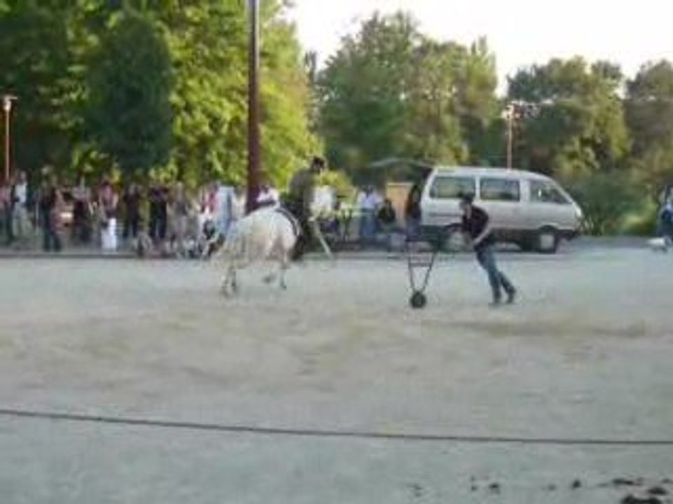 Vinz à Sort