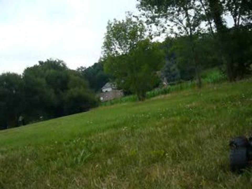 revo vxl powaaaaaaaaaaaaaaa