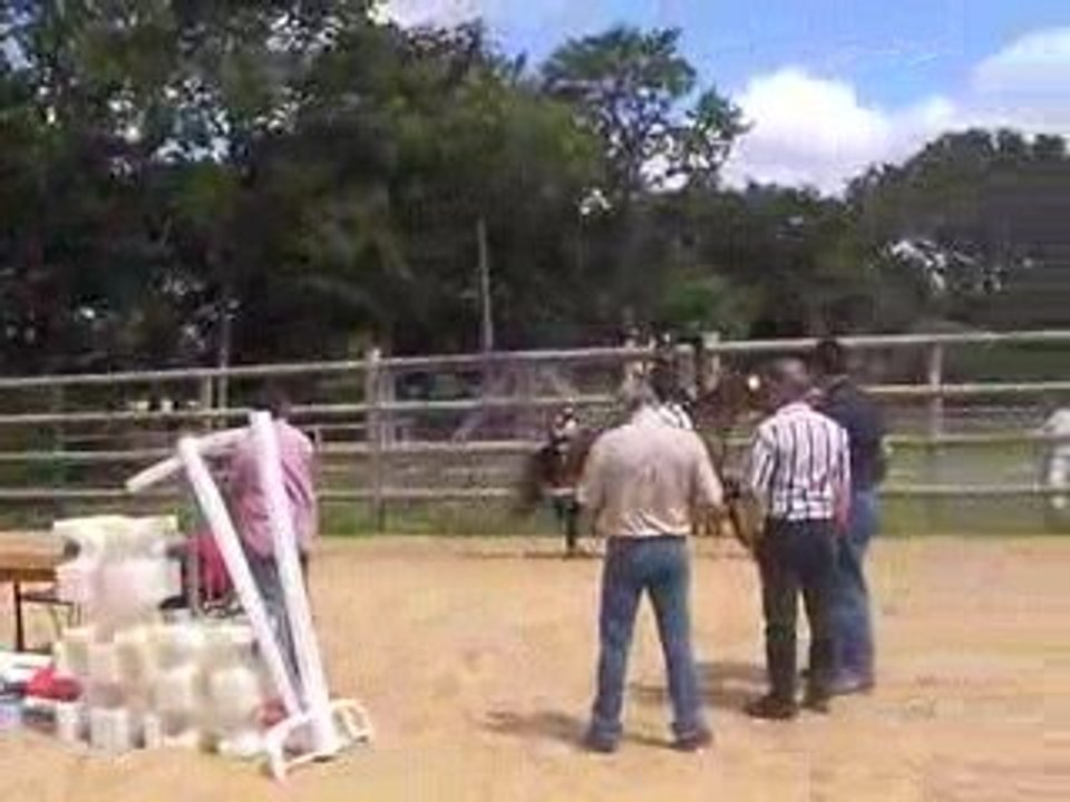 Siroco concours 3 ans - présentation montée