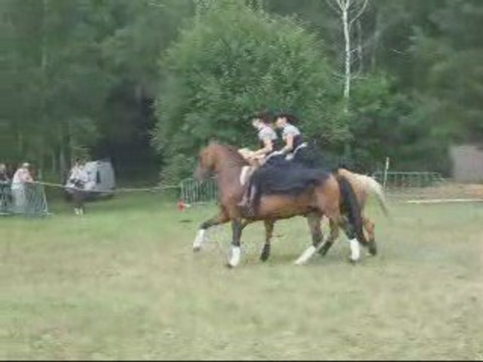 Pas de deux 2009