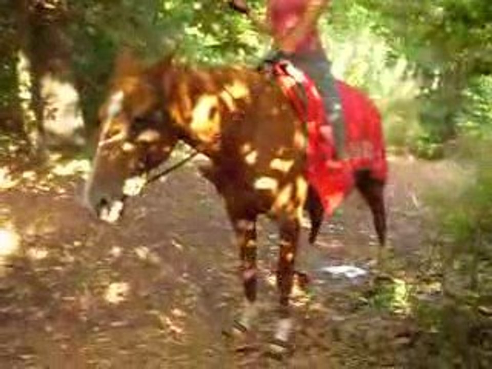 kirikou pipi dragon