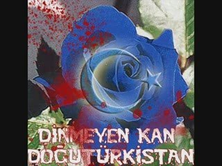 Mehmet BORUKÇU-Dizginleri Koparıyorum