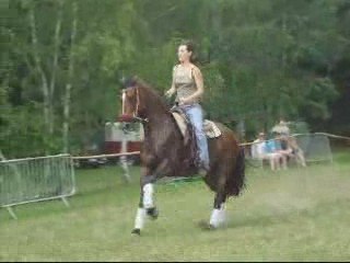 Audrey et Lobi en plein effort ;-)