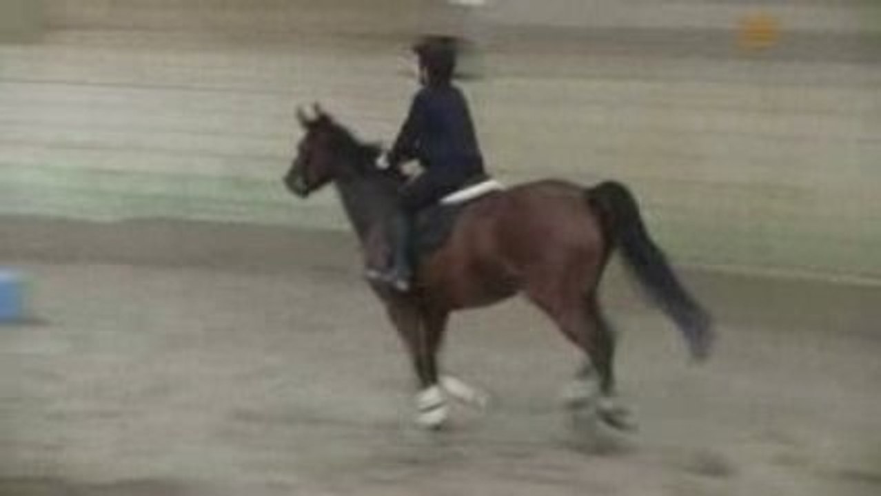 R GALOP 5 OXER 120709