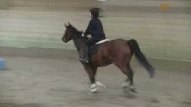 R GALOP 5 OXER 120709