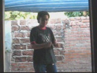 The Lion Sleeps Tonight (Locura Videomusical)