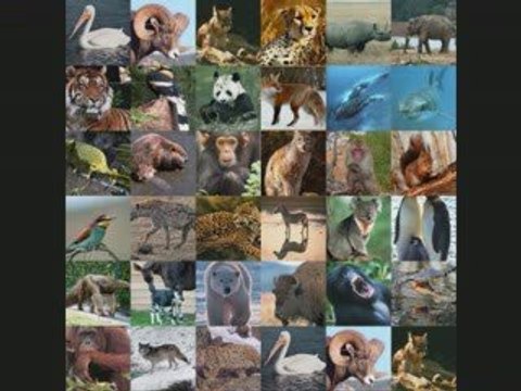 Née dans un monde de Keny Arkana