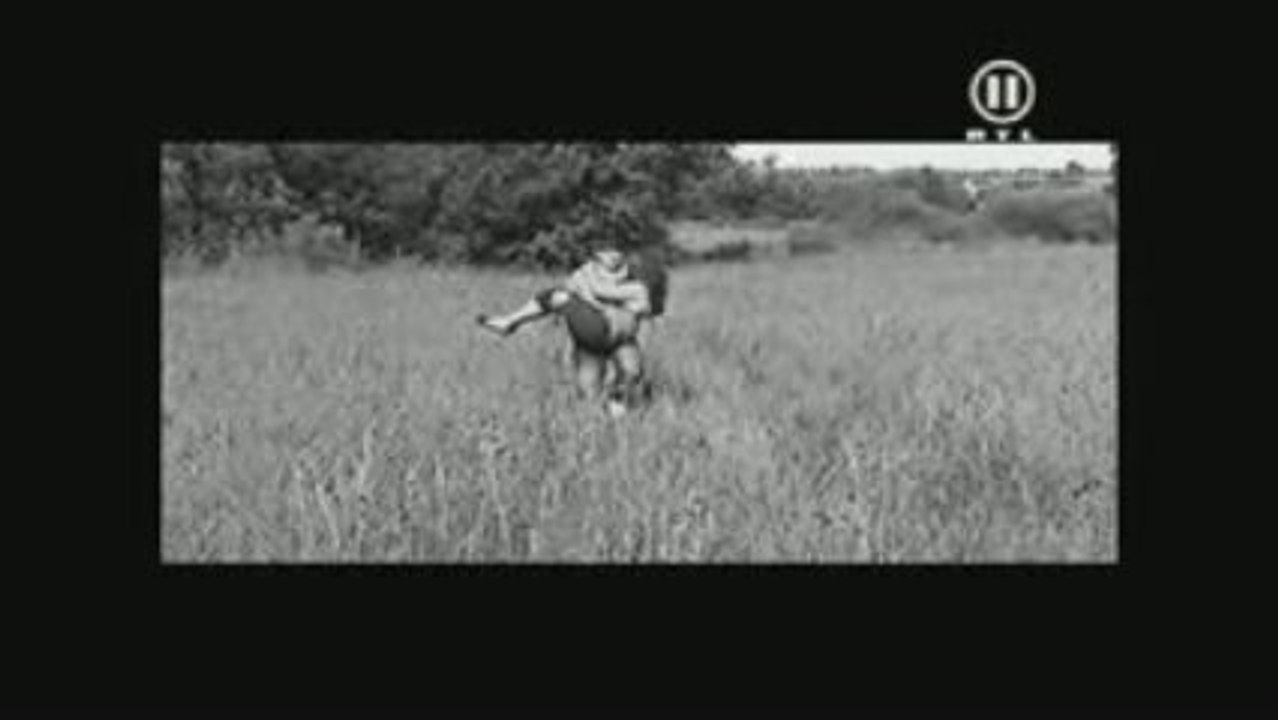 bollywood Shahrukh Khan - Veer und Zaara 2009 Trailer