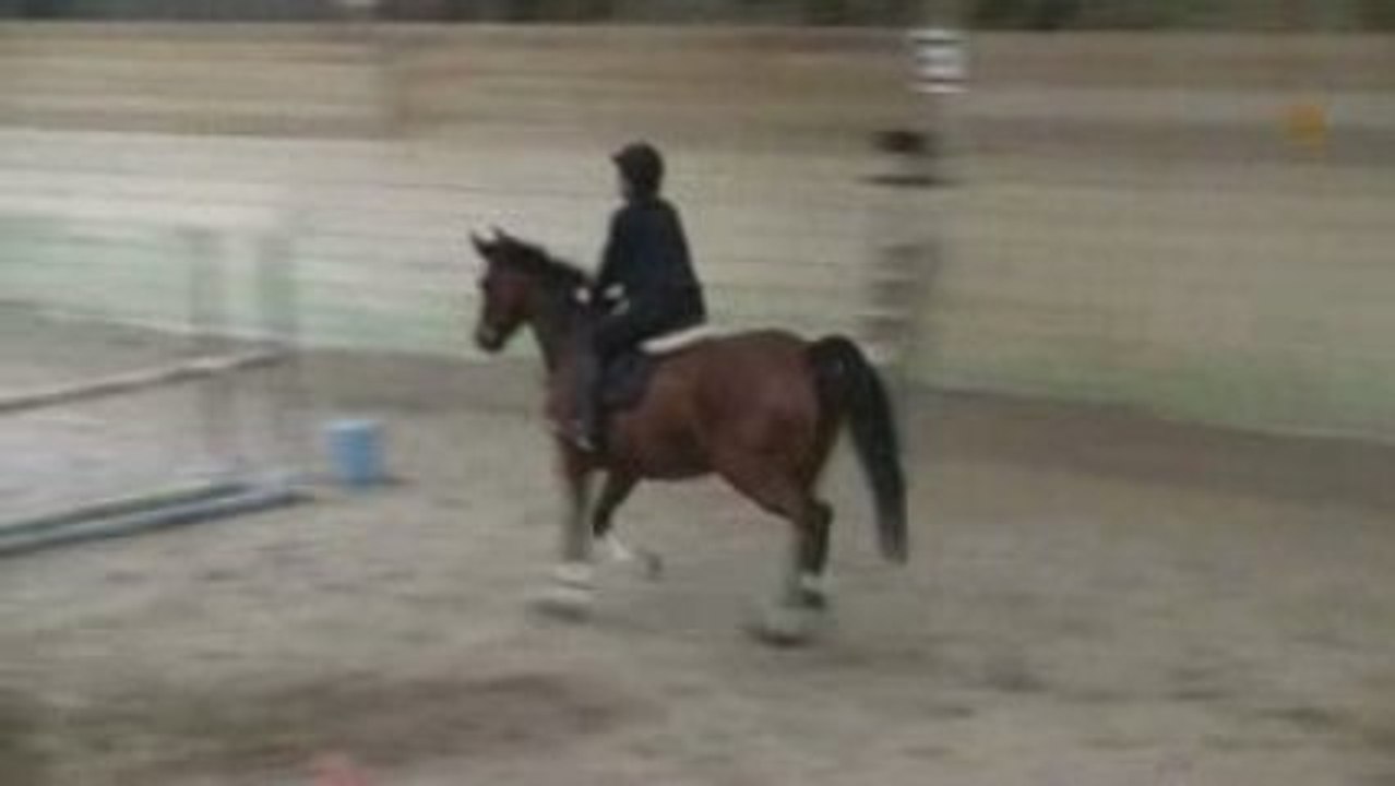 R VERTICAL TROT 2