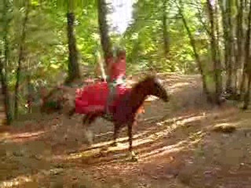 charge dragon 3