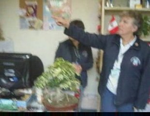 Bonsai Magico - Bunjin - Video 30 - bonsaimagicobunjin.com