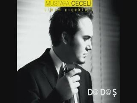 MUSTAFA CECELI-LIMON CICEKLERI ( TURUNCU MIX ) BY_LOKO