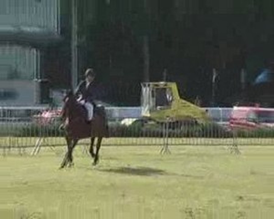 Grand Ghlin 2009 - Red Bull & moi 80cm