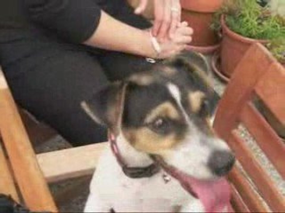 Tombola N° 1 de la FSA