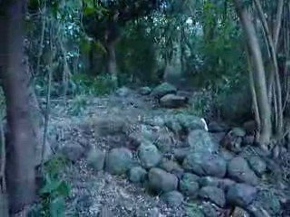 new section part