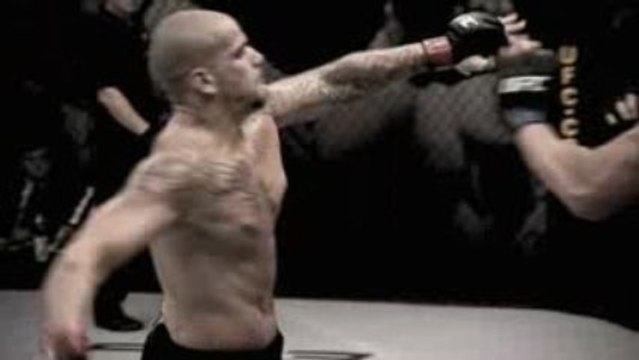 The new Ultimate Fighter