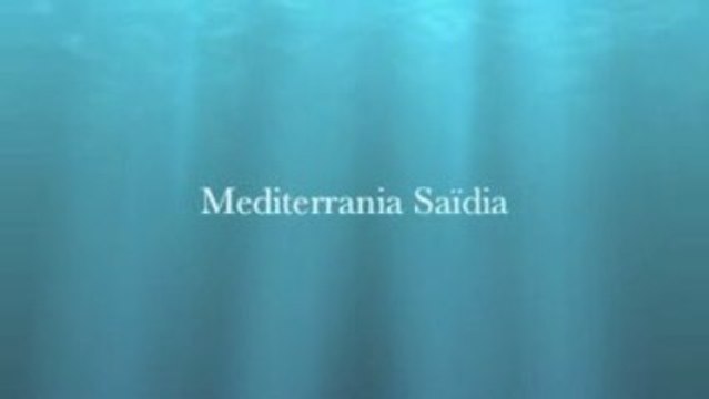 mediterrania Saidia