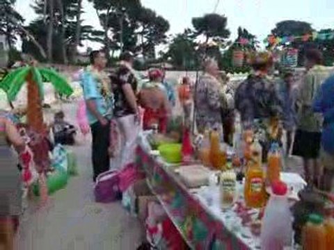 PIC NIC OVS 13 JUILLET HAWAIEN 2