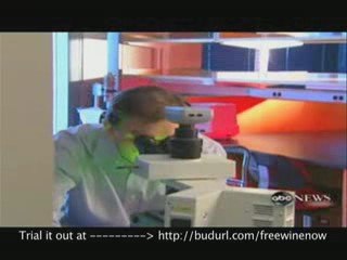 yellow tail red wine discount As Seen On TV